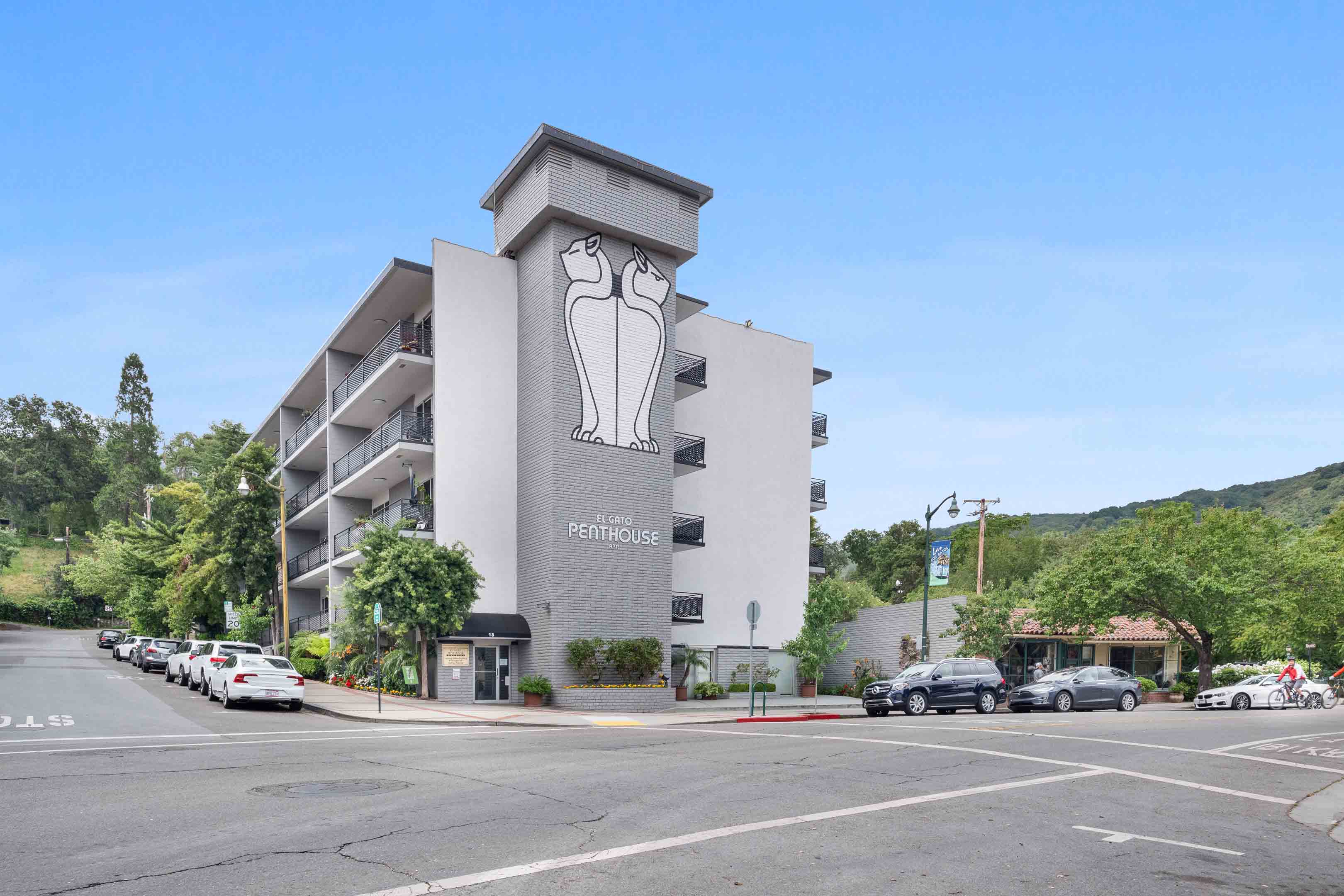 El Gato Penthouse Image 1
